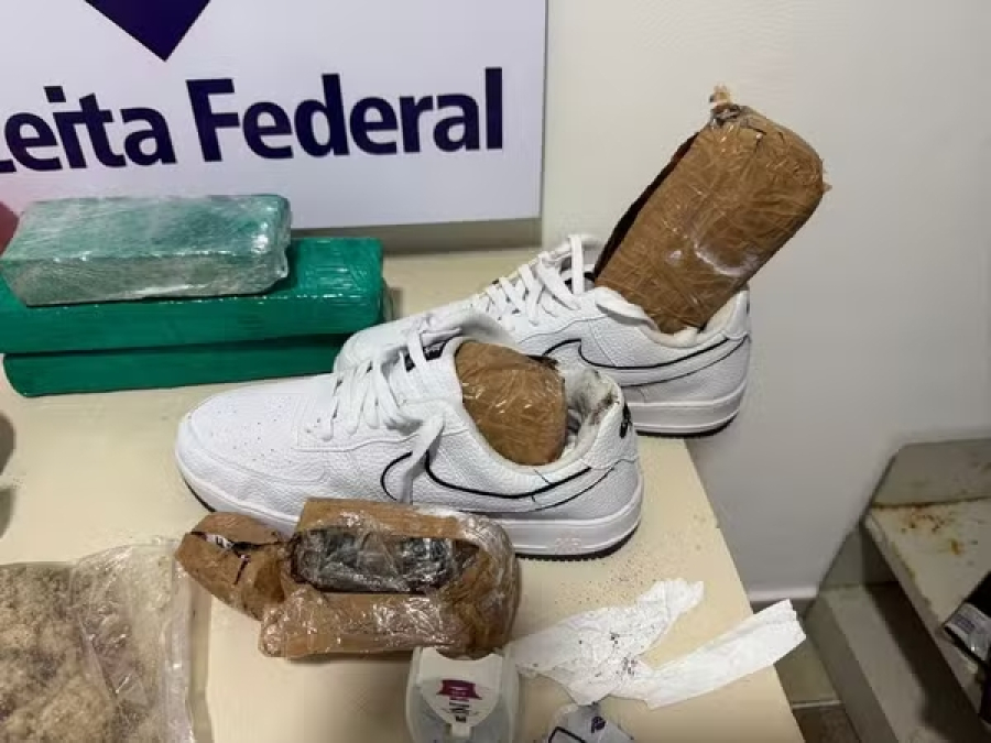 Cão farejador encontra quase R$ 450 mil em drogas escondidas em encomendas dos Correios no Recife