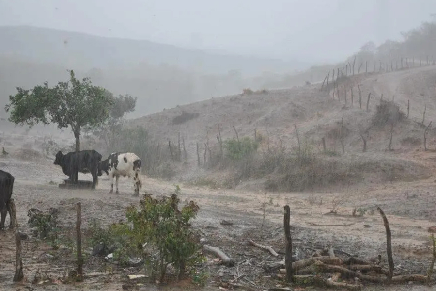Lista atualizada: municípios com maior volume de chuva em PE hoje