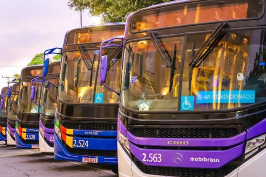 Governo anuncia novos ônibus e linha inédita na RMR; veja