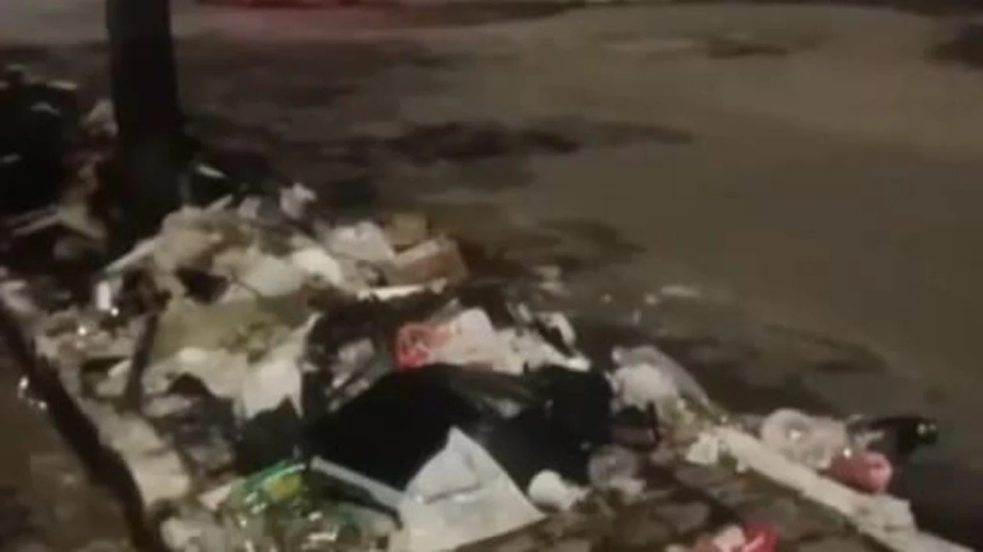 Feto é encontrado no lixo em Caruaru; polícia investiga caso