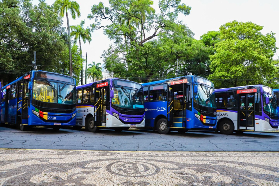 Veja como serão os novos ônibus elétricos da RMR
