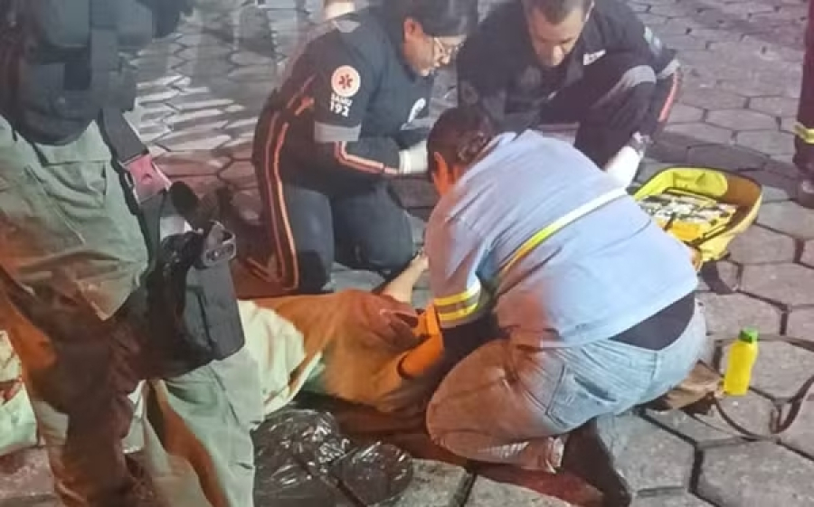 Mulher corre para buscar objeto e tem perna esmagada por ônibus no Recife