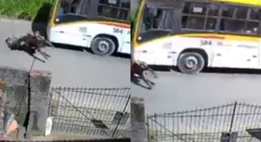 Motociclista é arremessado após colisão com ônibus em Jaboatão