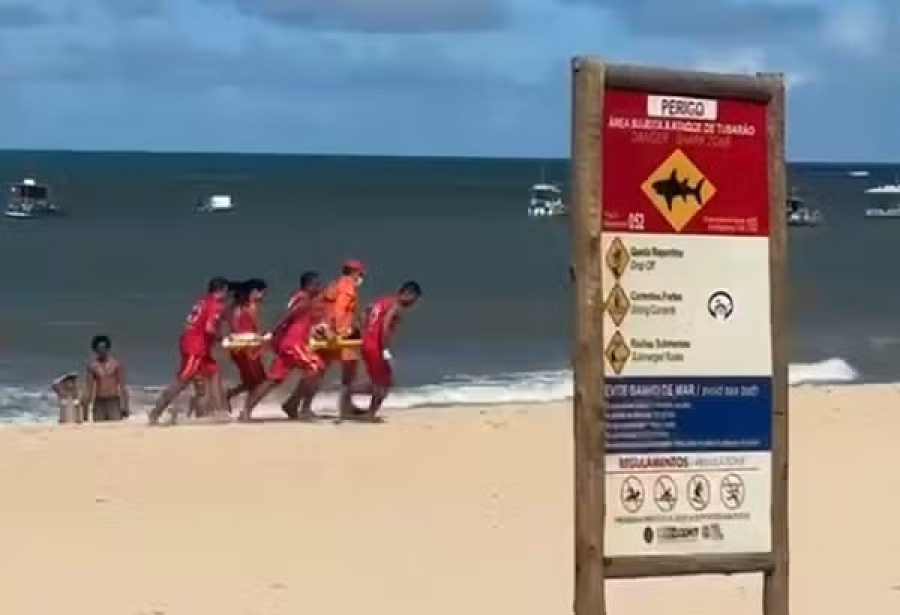 Criança é mordida por tubarão na Praia de Piedade