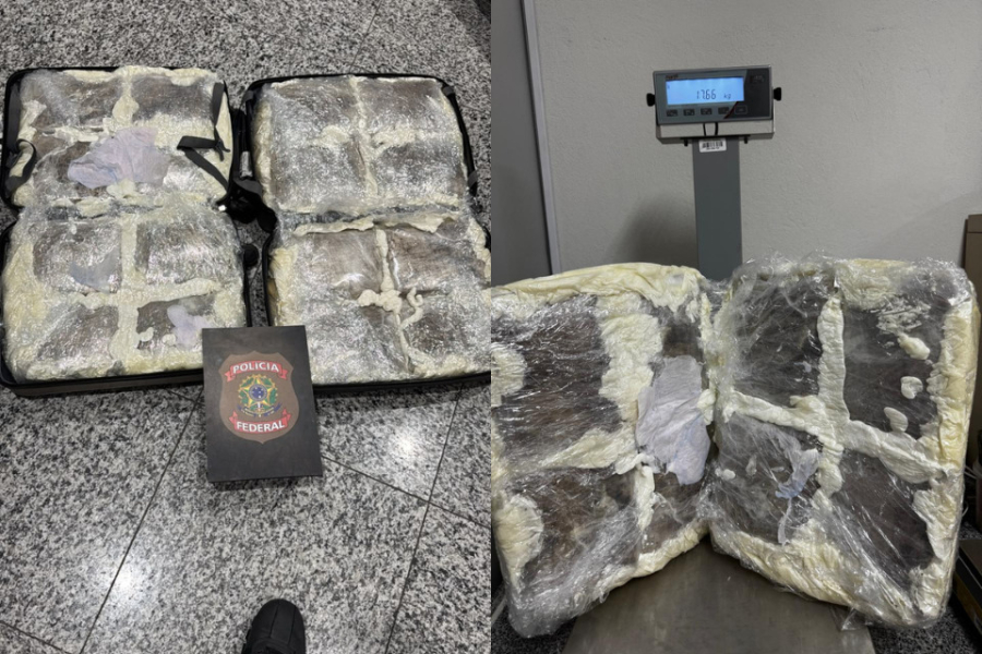 Mulher é presa no Recife com carga recorde de skank